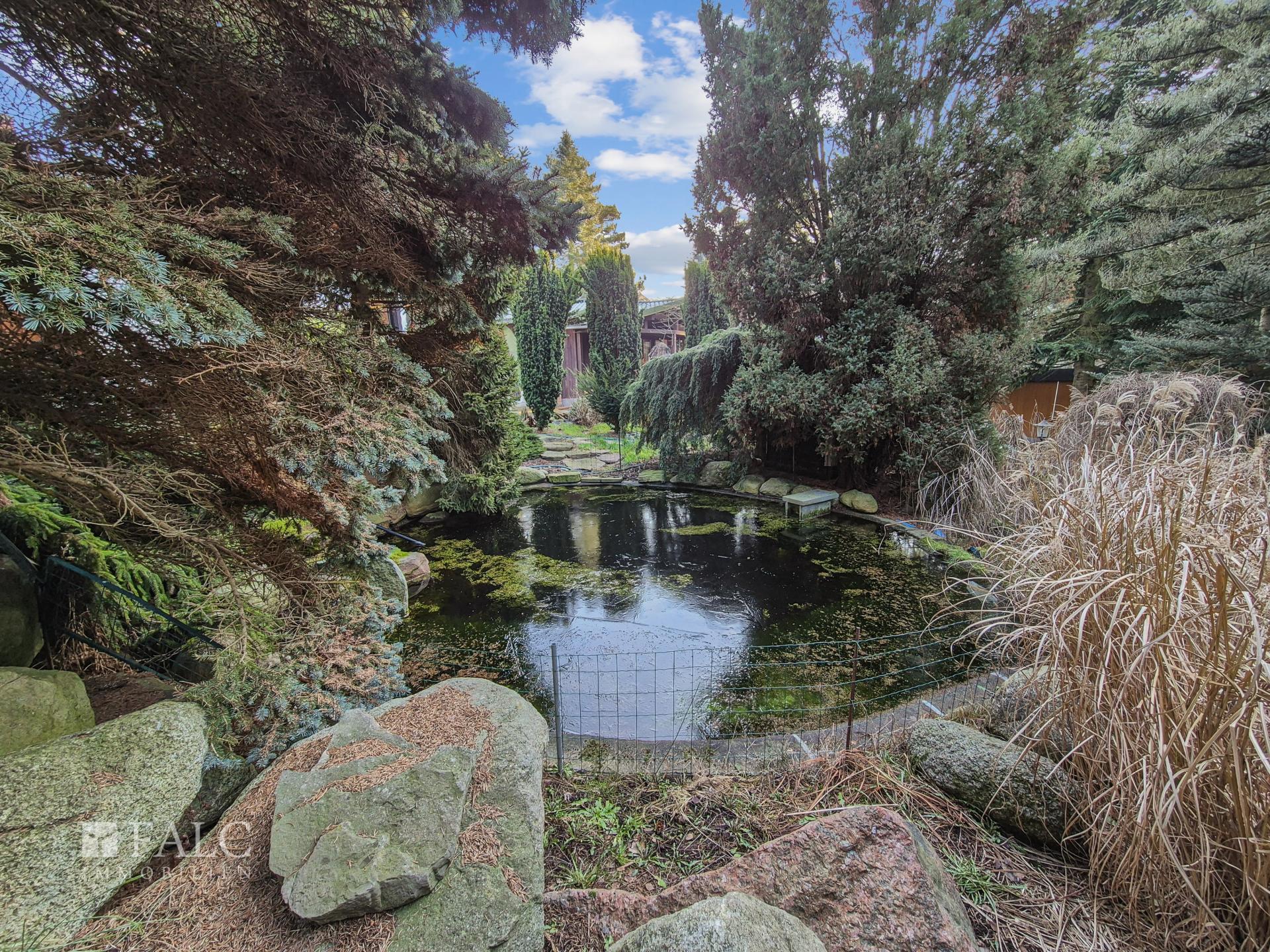 Garten mit Teich 2